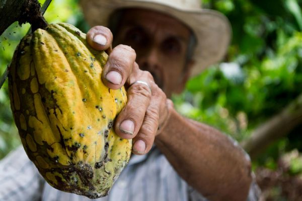 Descubre por qué el Comercio Justo ha hecho de este mundo, un lugar mejor