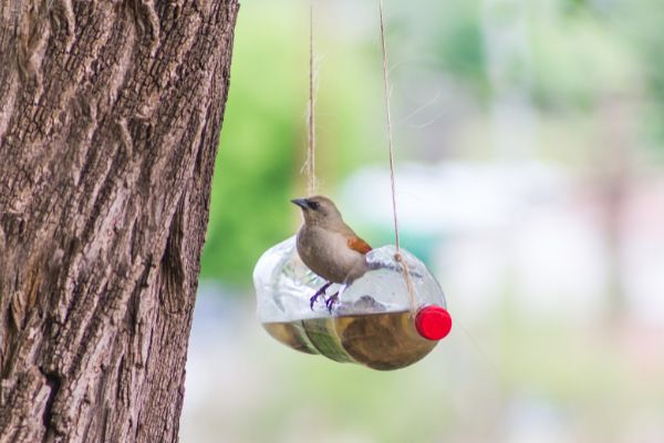 5 ideas para reciclar botellas de plástico