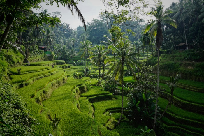 Bali, Indonesia lugares más populares para viajar