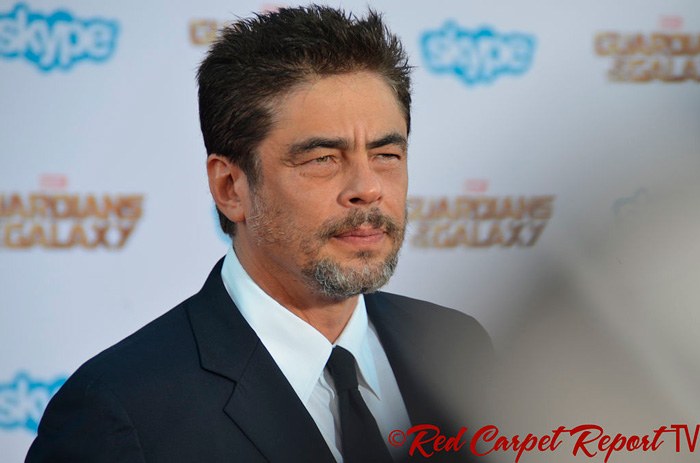 ¿Sabías que estos famosos son familia? Benicio del Toro