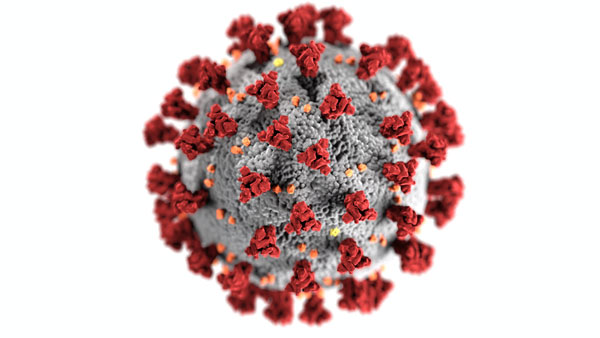 coronavirus o covid 19 consejos de virólogos