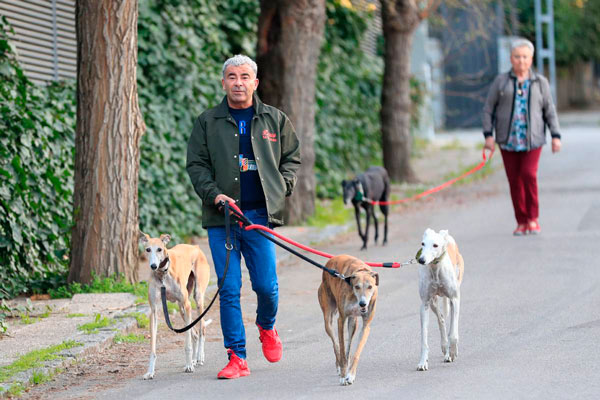 perros de Jorge Javier
