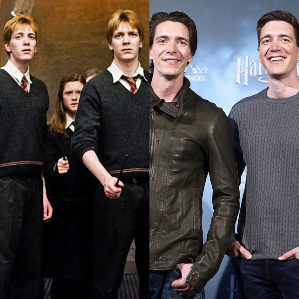 Imagen Hermanos Wisley, personajes Harry potter