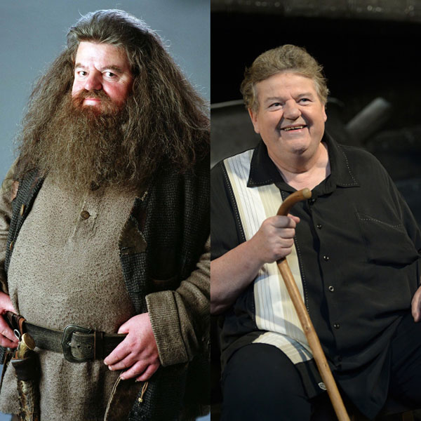 Imagen personaje película Harry Potter Hagrid