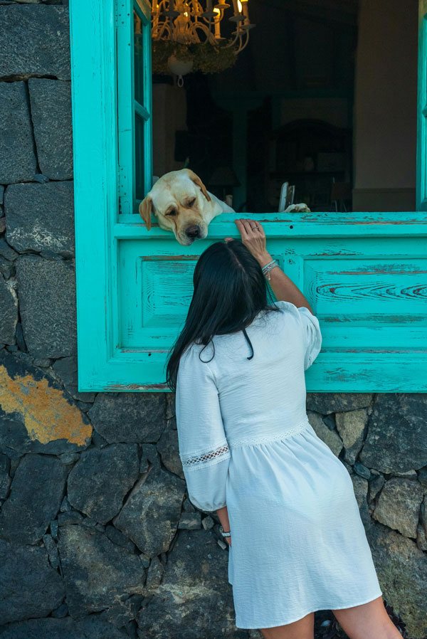 Viajar a Tenerife con tu mascota