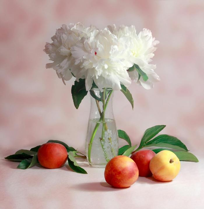 Flores blancas en jarrón con fruta alrededor