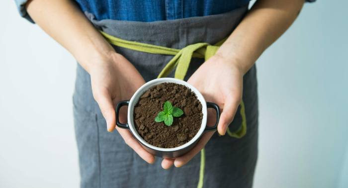 persona mostrando maceta con menta planta aromática